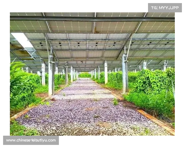 亚冬会场馆光伏发电技术创新助力低碳发展有效降低运维成本28% 亚冬会场馆光伏发电技术创新助力低碳发展有效降低运维成本28%